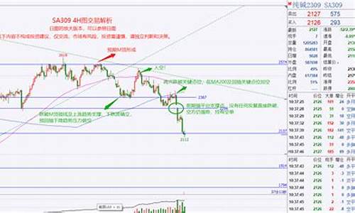 期货外汇交易纯碱(期货外汇什么意思)_https://www.bfdbrw.com__第1张