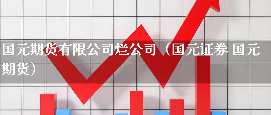 国元期货有限公司烂公司（国元证券 国元期货）_https://www.bfdbrw.com_白银期货_第1张