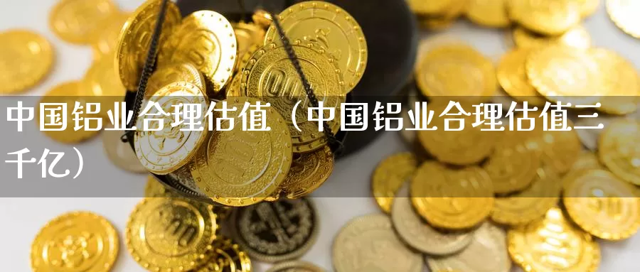 中国铝业合理估值（中国铝业合理估值三千亿）_https://www.bfdbrw.com_期货分析_第1张