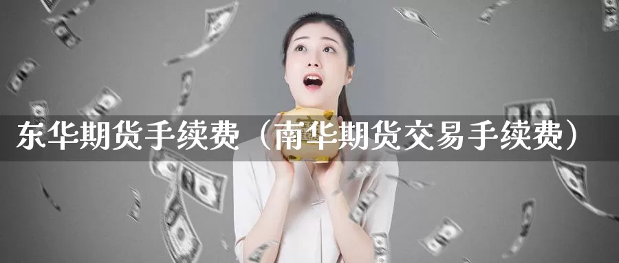 东华期货手续费（南华期货交易手续费）_https://www.bfdbrw.com_白银期货_第1张