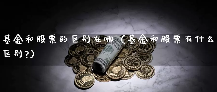 基金和股票的区别在哪（基金和股票有什么区别?）_https://www.bfdbrw.com_期货走势_第1张