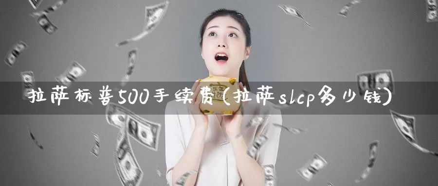 拉萨标普500手续费(拉萨slcp多少钱)_https://www.bfdbrw.com__第1张