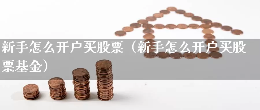 新手怎么开户买股票（新手怎么开户买股票基金）_https://www.bfdbrw.com_金融期货_第1张