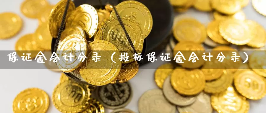 保证金会计分录（投标保证金会计分录）_https://www.bfdbrw.com_白银期货_第1张