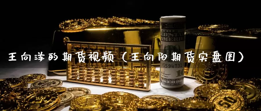 王向洋的期货视频（王向阳期货实盘图）_https://www.bfdbrw.com_期货品种_第1张