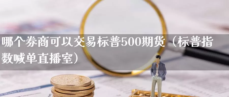 哪个券商可以交易标普500期货（标普指数喊单直播室）_https://www.bfdbrw.com_白银期货_第1张